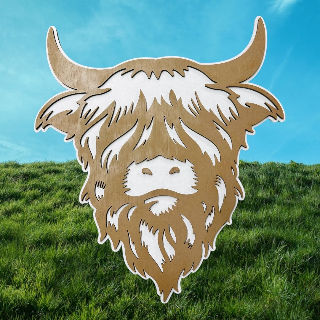 Highland Cow